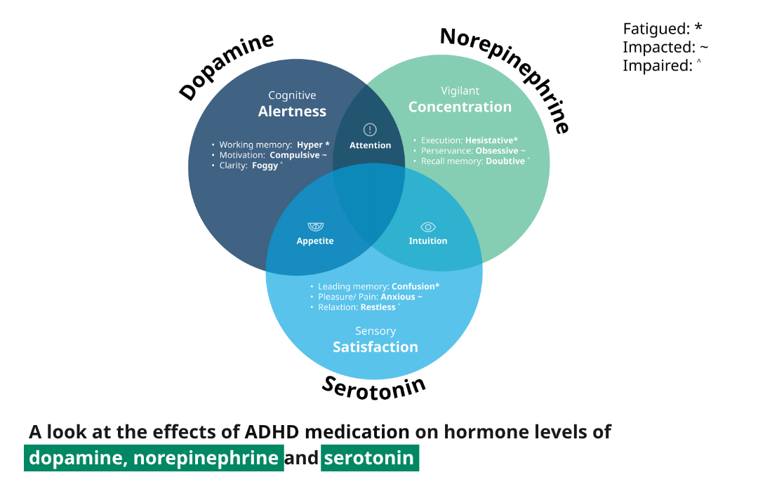 A look at the effects of ADHD medication on hormone levels of dopamine, norepinephrine and serotonin 